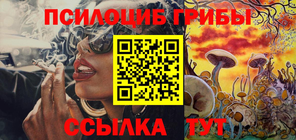 купить закладку  Вход с VPN  Псилоцибиновые грибы прущие грибы  Тайшет  Псилоцибиновые грибы мухоморы 