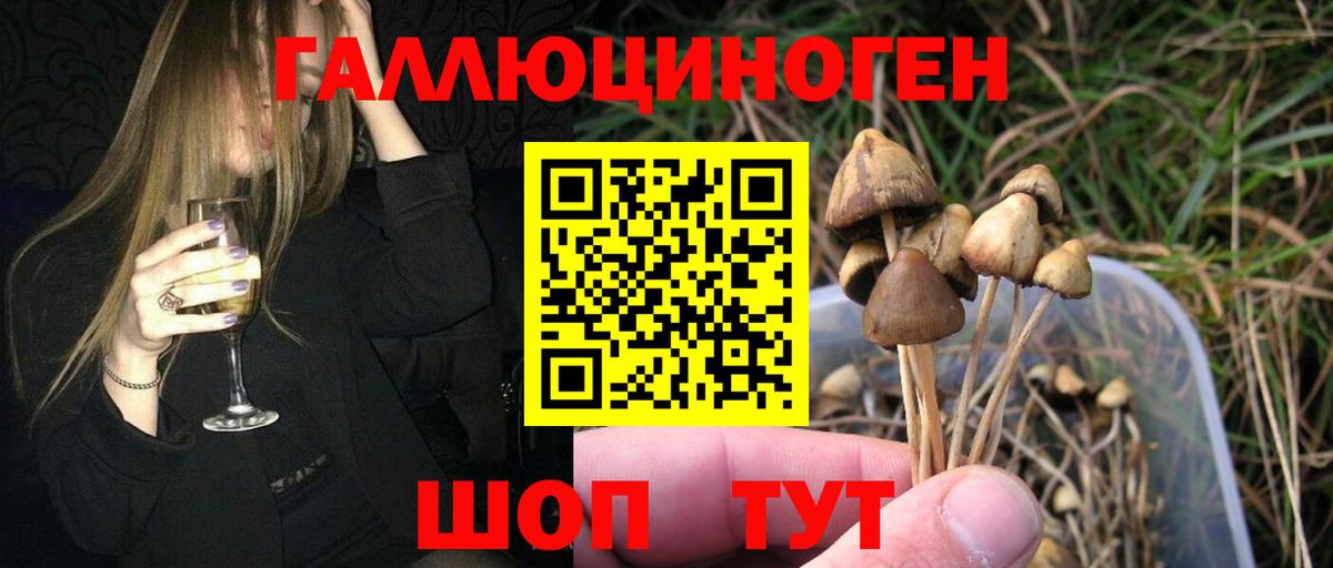 Псилоцибиновые грибы мухоморы Тайшет